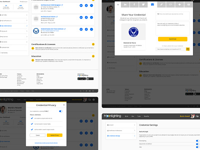 Credentialing Concept web design