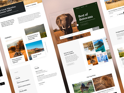 Safari Tours Travel Website animals dailyinspiration design designer elephant photography safari ui ux web