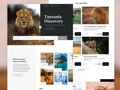 Safari Tours animals dailyinspiration design designer digital safari safaris ui uiux ux web