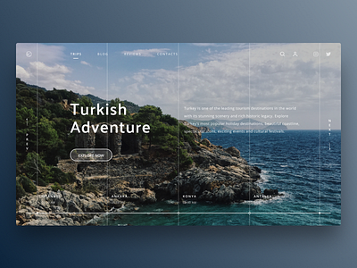 Travel company concept beautiful concept design home preview ui uidesign uiux ux web webdesign website