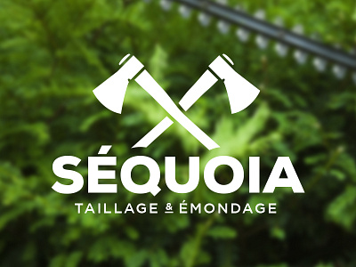 Séquoia 1 axe axes branding design identity landscaping logo logo design lumberjack typo typography wood