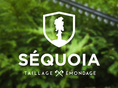 Séquoia 2 axe axes branding design identity landscaping logo logo design lumberjack typo typography wood