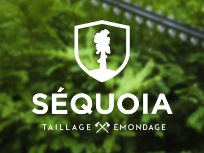 Séquoia 2
