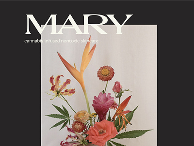 Mary Cannabis Skincare branding skincare