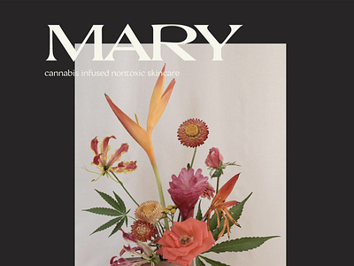 Mary Cannabis Skincare