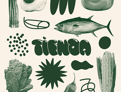 Tienda Logotype and Branding brand identity branding funky green online store