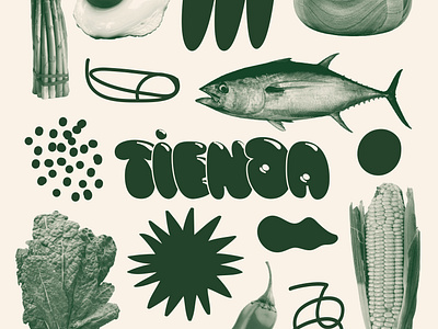 Tienda Logotype and Branding