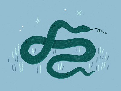 Snake coloredpencil digitalillustration illustration limitedpalette procreate snakeillustration texture
