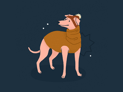 Winter Whippet Illustration