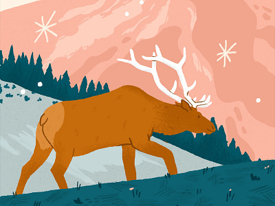 Wandering Elk Illustration