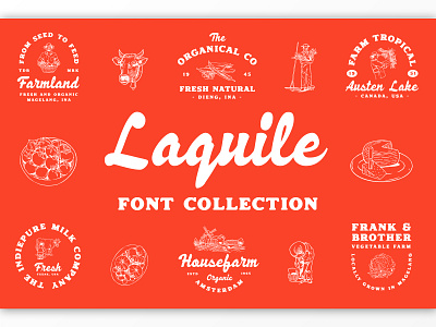 Laquile Font Collection badge branding display illustration label lettering logo logotype packaging typography