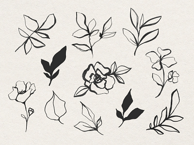 Elegant Flower Line Art | Vintage Doodle Element Pack