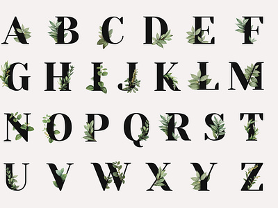 Alphabet Letter Typeface Set | Botanical Style