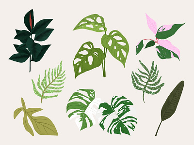 Vector Tropical Leaves | Botanical Plant Set