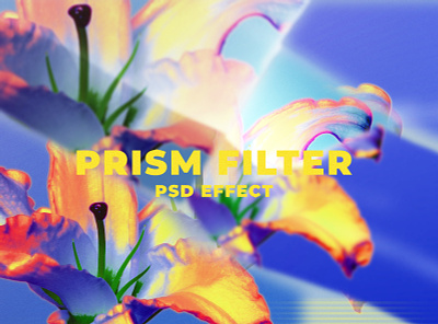 Prism Filter PSD Effect | Graphic Add-on Overlays add ons design digital art editing effect filter effect fliter free graphic graphic design high definition overlay photo effect photoshop preset print prism filter prism kaleidoscope professional psd
