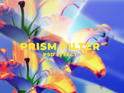 Prism Filter PSD Effect | Graphic Add-on Overlays