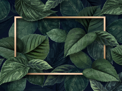 Frame: Rainforest Leaves | Nature Inspired Design Space