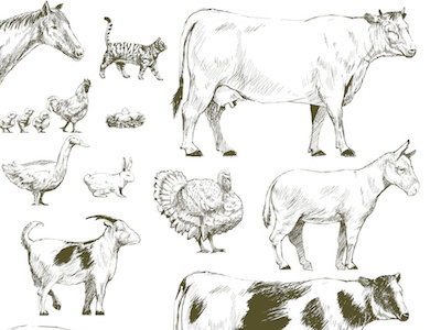The Animal Farm Vector animals cattles farm farming livestock sketch vector