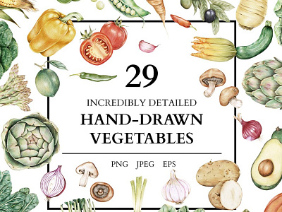 Extremely detailed hand-drawn vegetables avocado cabbage food hand drawn meal olives pattern radish sketch vegetable