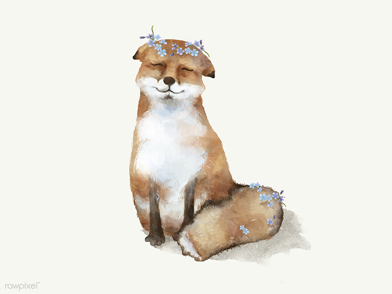 Free | Adorable Fox Illustration by rawpixel on Dribbble