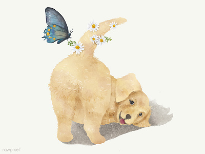 Free | Adorable Dog Illustration adorable animal butterfly cute dog. retriver free illustration painting pet vector watercolor