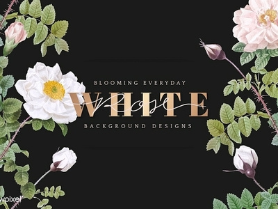 White Rose & Gold Typography Vectors