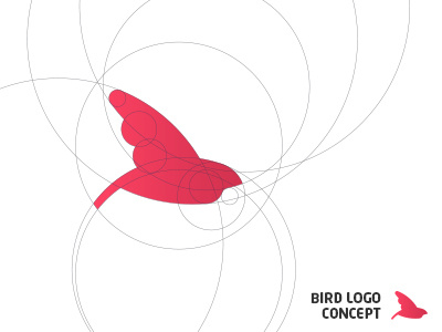 Bird Logo Concept bird concept icon logo symbol