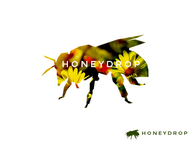 Honeydrop Band Logo Design