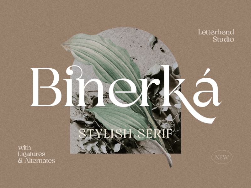 Binerka – Stylish Serif Font serif font