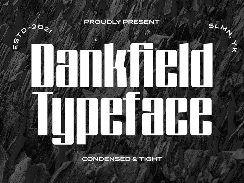 Dankfield - Modern Condensed Font cyber font