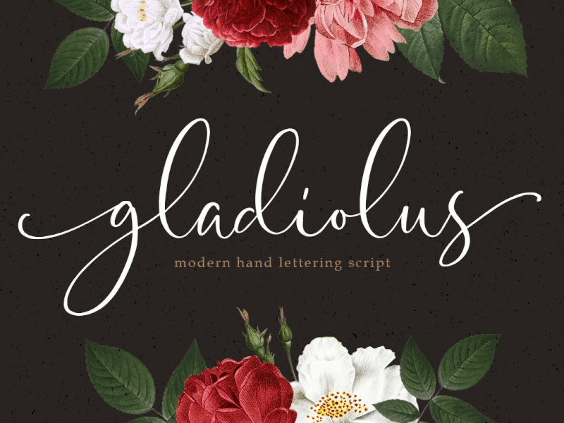 Gladiolus - Modern Calligraphy headline