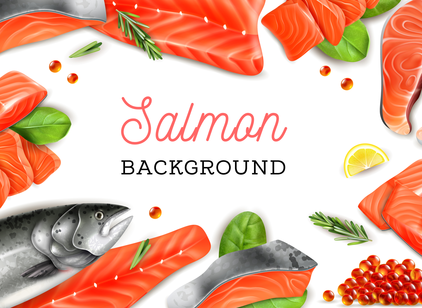 Best Salmon fish iPhone HD Wallpapers  iLikeWallpaper