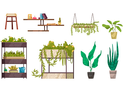 Home decorative plants set decorative flat flowerpot home illustration palm plants shelves vector