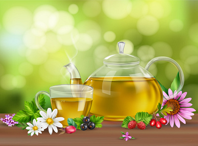 Herbal green tea illustration berries flowers green tea herbs illustration realistic vector