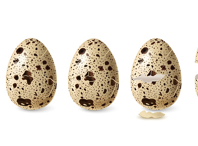 Cracked quail egg set cracked egg eggshell illustration natural quail realistic vector