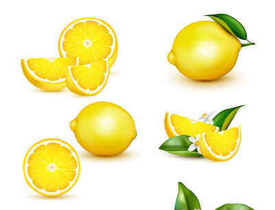 Citrus lemon fruit set citrus fruit healthy illustration lemon realistic tropical vector
