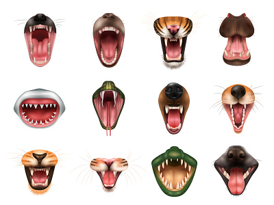 Animal open mouths set aggression angry animal illustration mouth predator realistic teeth vector