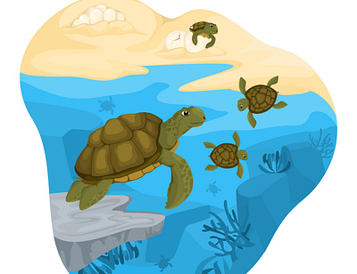 Turtle life cycle composition animal cycle ecology flat illustration ocean turtle underwater vector