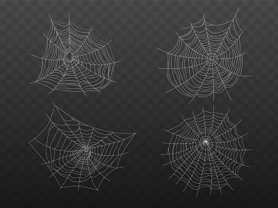 Realistic cobweb set cobweb illustration insect realistic spider thread vector wildlife