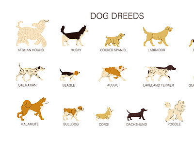 Different dog breeds set animal breed dog domestic flat illustration pet vector