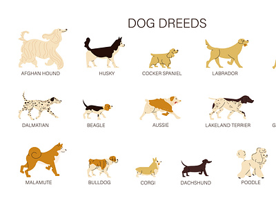 Different dog breeds set