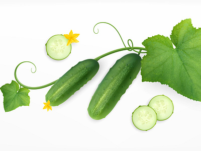 Cucumbers composition
