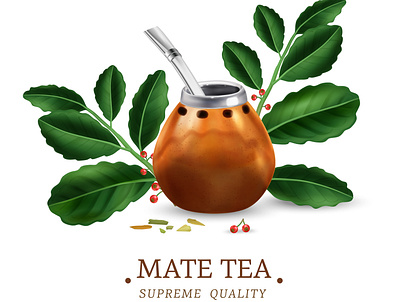 Green mate tea beverage herbal illustration leaves mate realistic tea vector