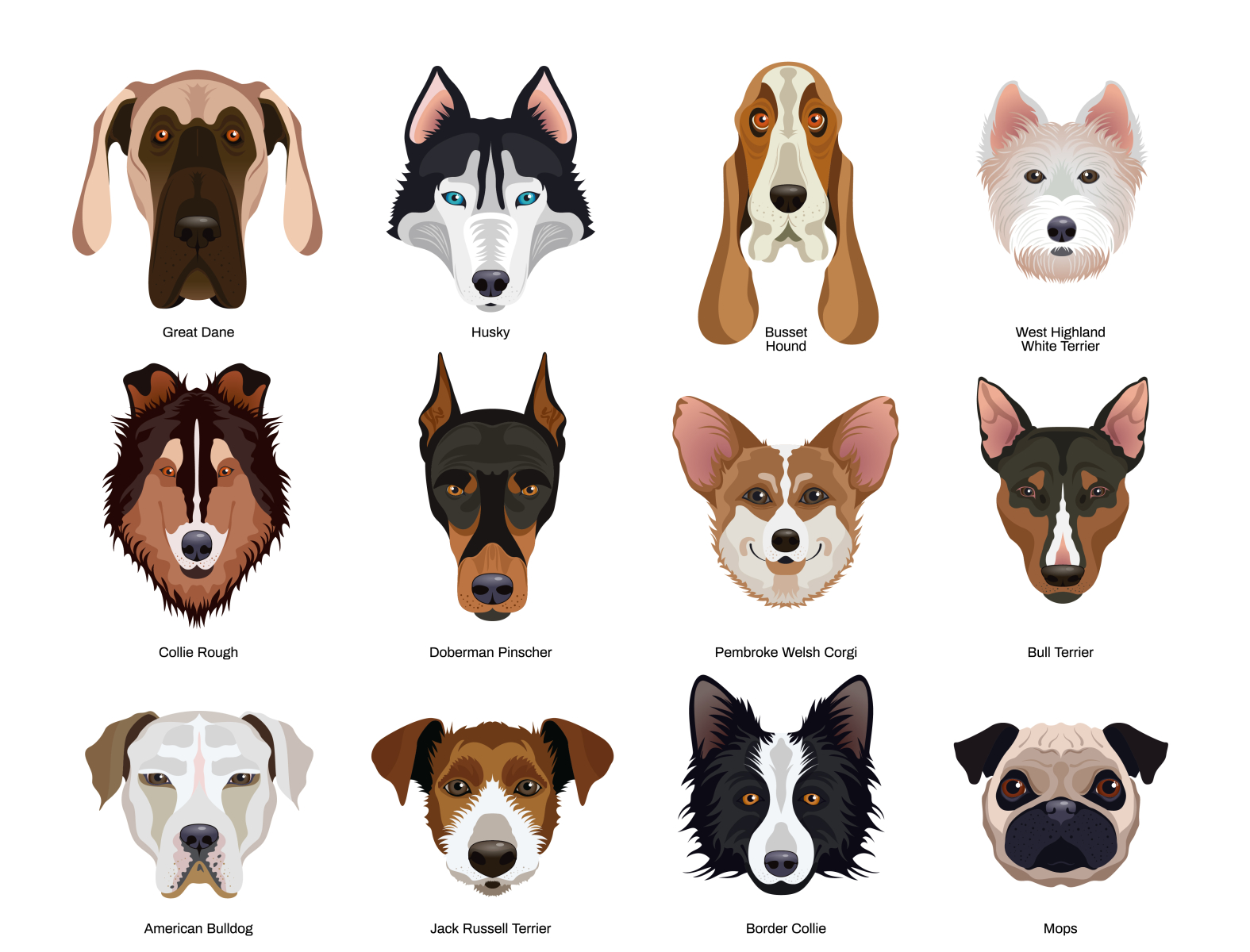 Вogs breeds set by Macrovector on Dribbble