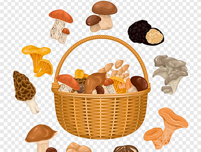 Basket with mushrooms cartoon eating eco forest illustration mushroom vector