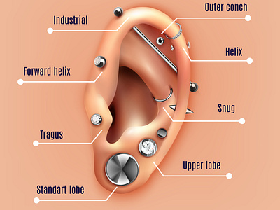 Eear piercing poster beauty ear illustration jewellery piercing realistic vector