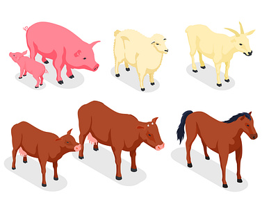 Farm animals set animal farm illustration isometric treatment vector veterinary