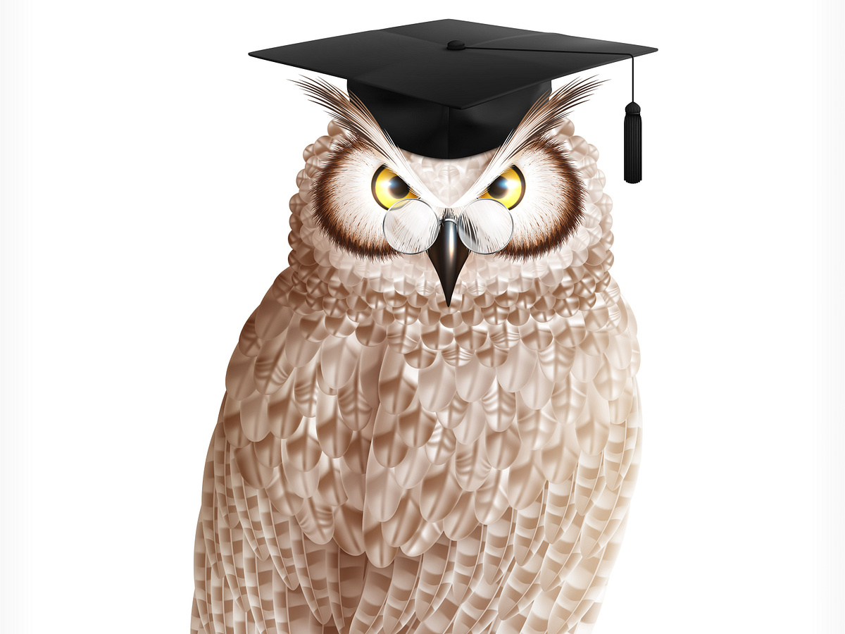 th owl bachelor thesis