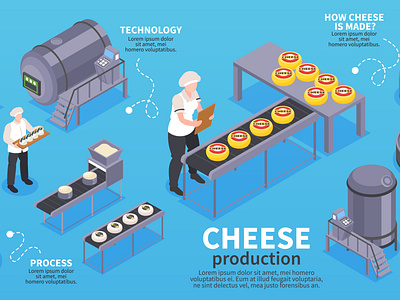 Cheese production infographics cheese conveyor illustration isometric production vector