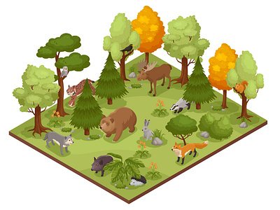 Forest animal composition animals ecosystem forest illustration isometric vector zoology